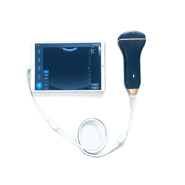 Fabrieksprijs Medische Healson C30c Convexe Handheld Echografie Sonde