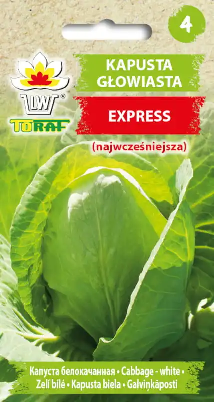 Head cabbage white Express vegetable cabbage seeds 1G TORAF