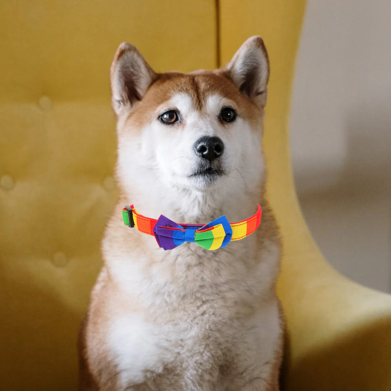 

Rainbow Butterfly Bow Cat Collar Adjustable For Small Pets Kitten Neck Decor Party Wedding Photo Outdoor Pet Accessory