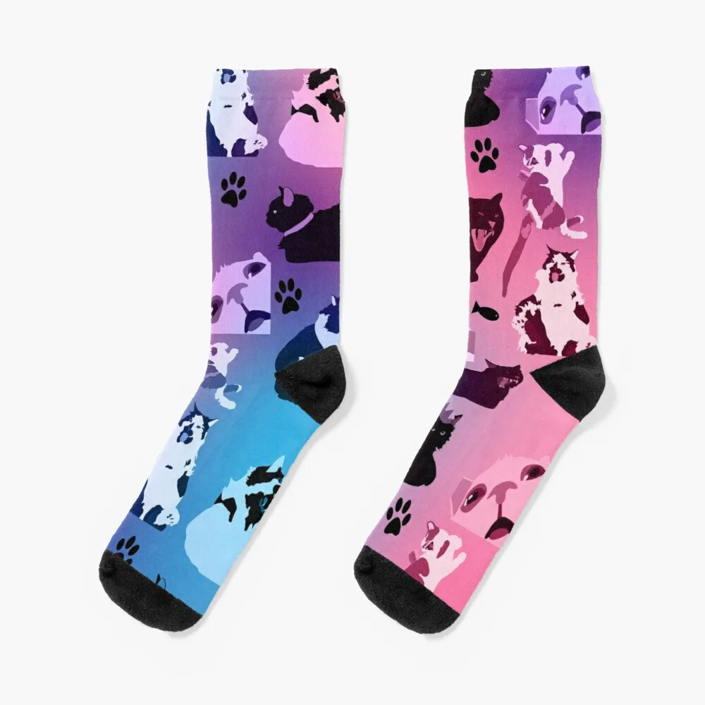 Subtle Bi Cursed Cat Pride Flag Socks Fun Socks