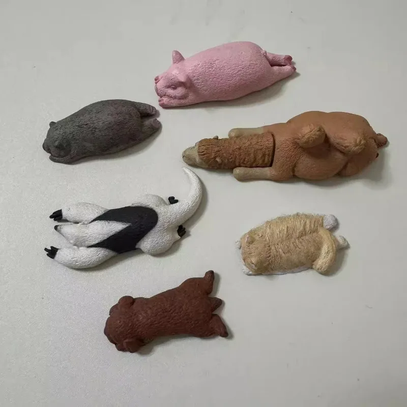 Dormitory Zoo Gashapon Toys Anteaters Wombat Bear Teddy Cat Camel Pig Lovely Figure Model Ornaments Toys