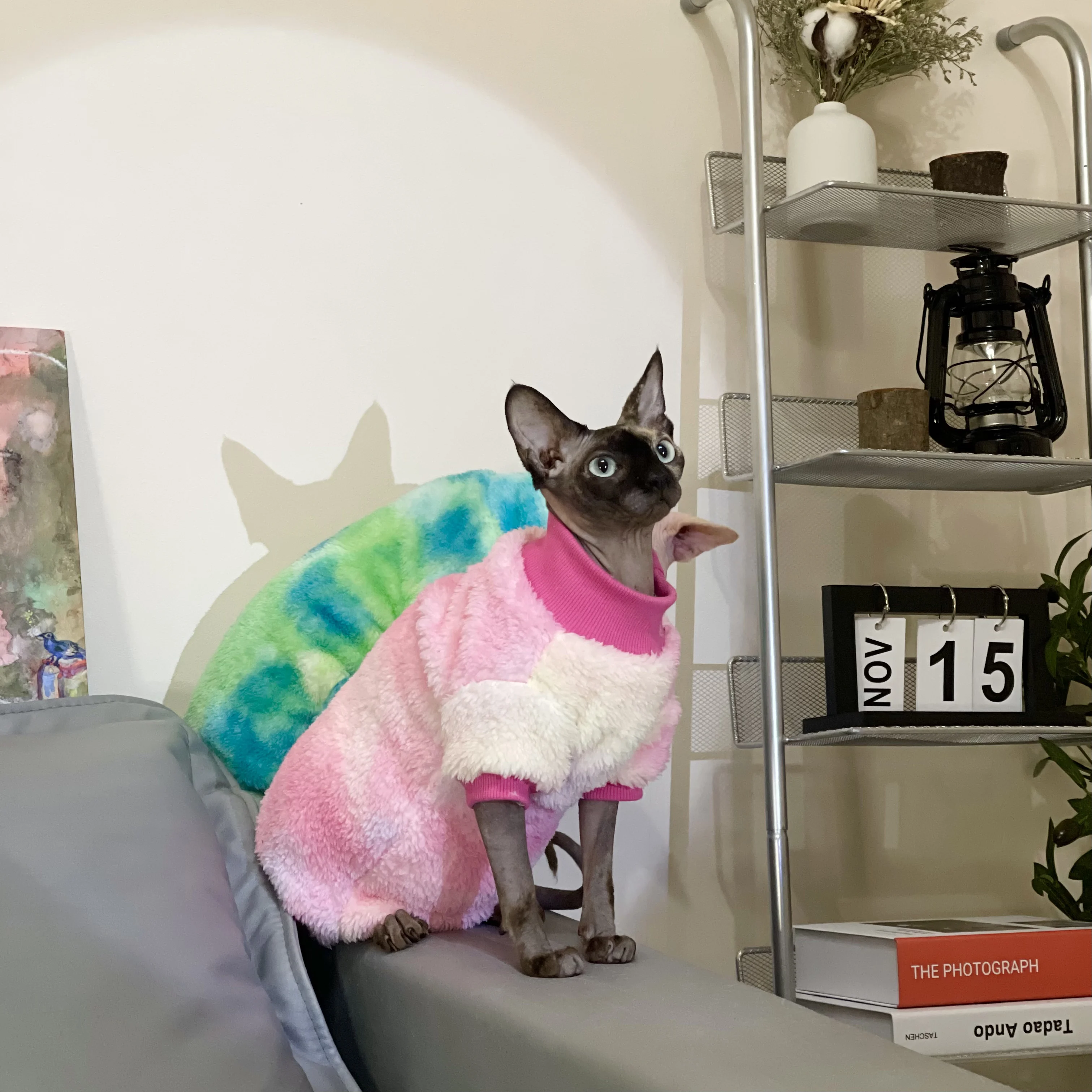 Rainbow Warm Sphynx Cat Turtleneck Sweater Hairless Cat Clothes Soft Winter Coat Thickening Sweet Fleece Jumpsuit for Kittens