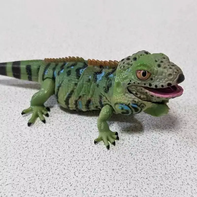 بانداي غاشابون خريطة بيولوجية كبيرة أبو بريص سحلية الأزرق اللسان جلود محاكاة المنقولة الحيوان عمل نموذج لجسم اللعب