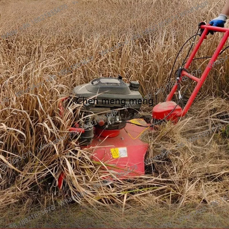 

Lawn mower, self-propelled grass shredder, field weeding tool, orchard weeder, lawn mower Oscillating Multi-GardenTools