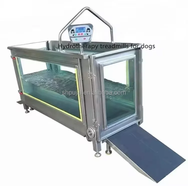 Dog Rehabilitation Machine Underwater Treadmill Device Pet Hydrotherapy Water Treadmill