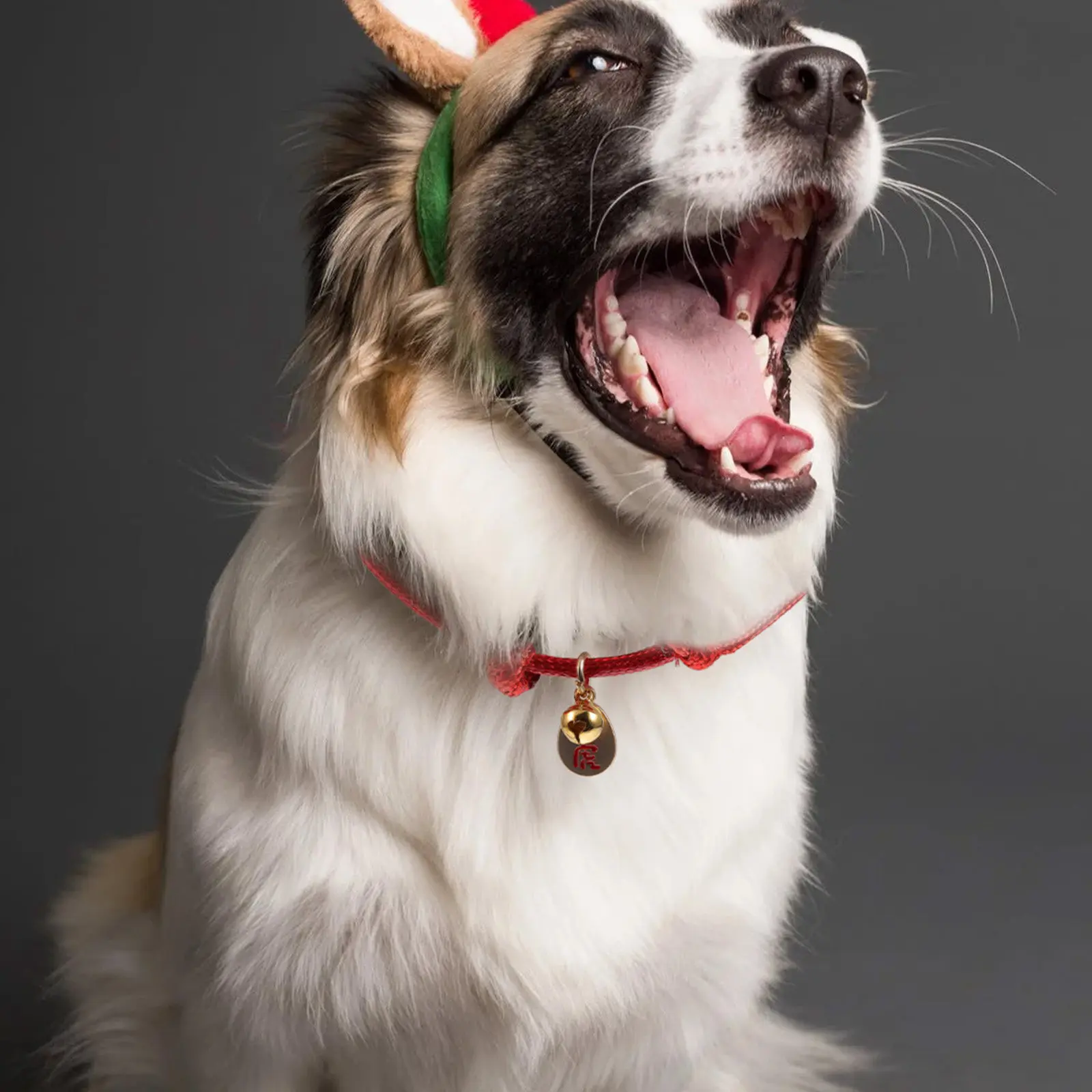 2Pcs Adjustable Red New Year Pet Collar for Dogs Cats Festive Neck Ring Comfortable Breathable Lightweight Dog Collar for Tiger