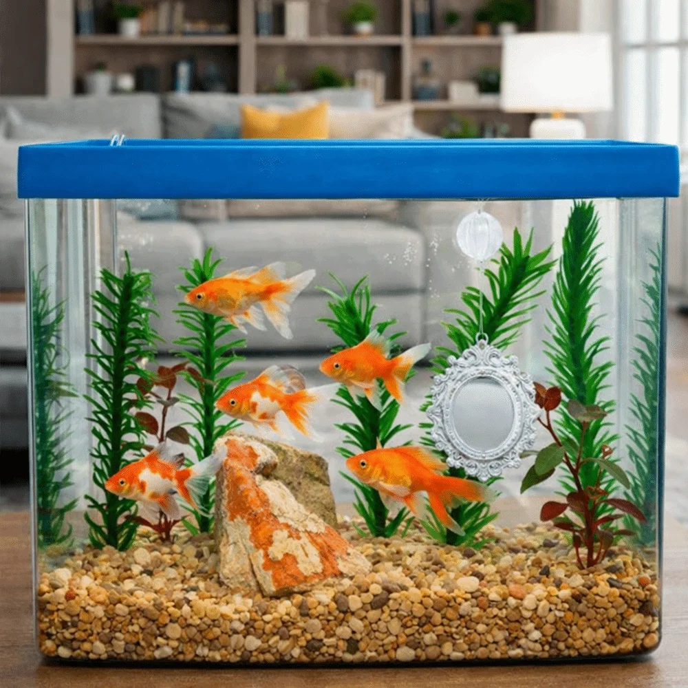 Funny Retro Style Betta Fish Training Mirror Decorative Engraving Teasing Fish Mirror Mini Floating Mirror Aquarium Decor