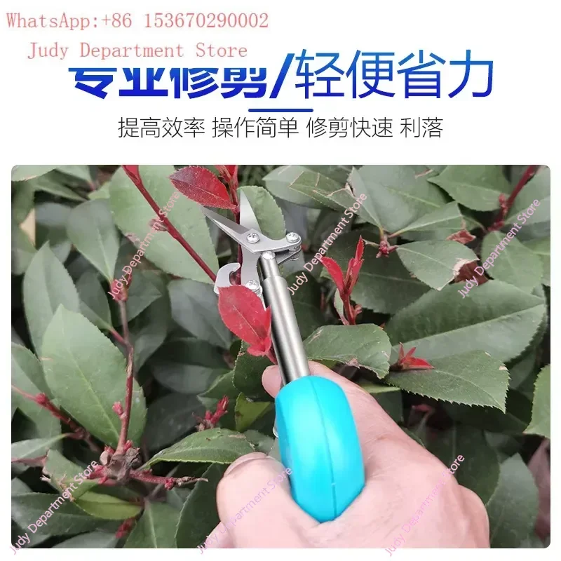 Hot Sale Pointed Fruit Picking Scissors Household Pepper Wolfberry Floral Shears Flower Arrangement Pruning Branch Cutting