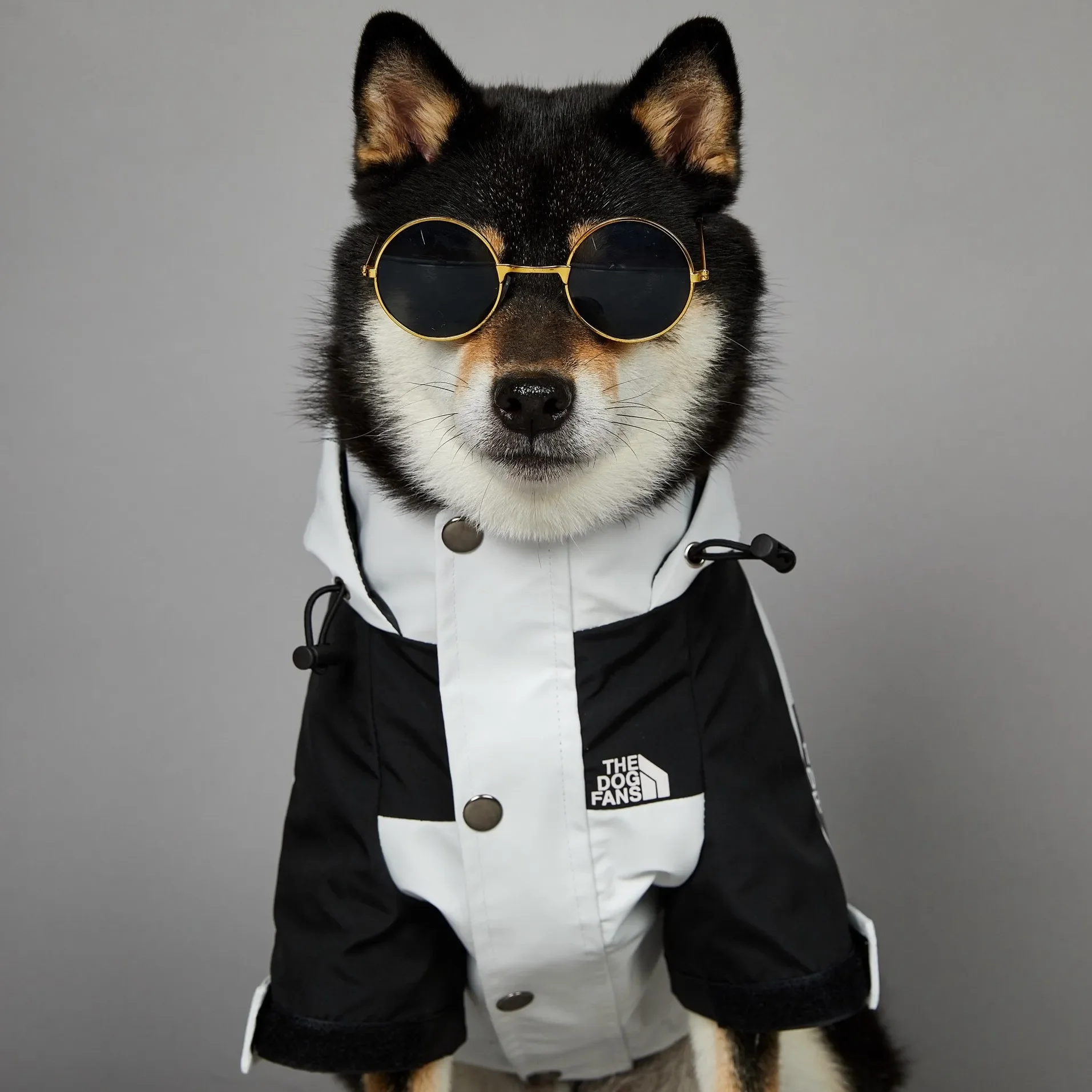 yZ[zCR[g^^pEChR[gEChu[J[t`uhbOp[J[