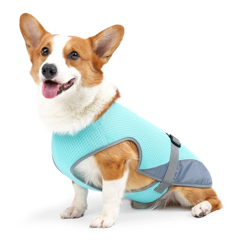 Doudoune rafraîchissante en maille respirante pour chien, manteau rafraîchissant réglable, vêtements d'extérieur pour petits et grands chiens, vestes pour animaux de compagnie, été