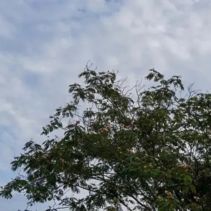 Geprc GEP-MK5 Mark5… - image