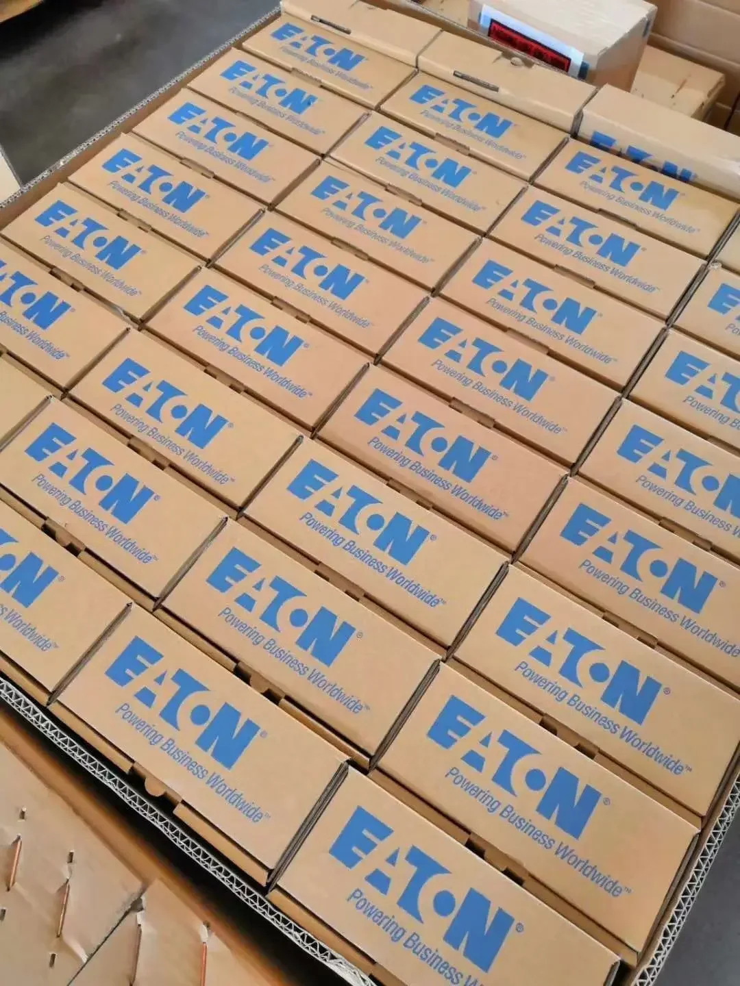 Medical Automatic Dogs Animals Pets Dogs Veterinary Hormones Rapid Test Poct Fluorescent Immunoassay Quantitative Analyzer