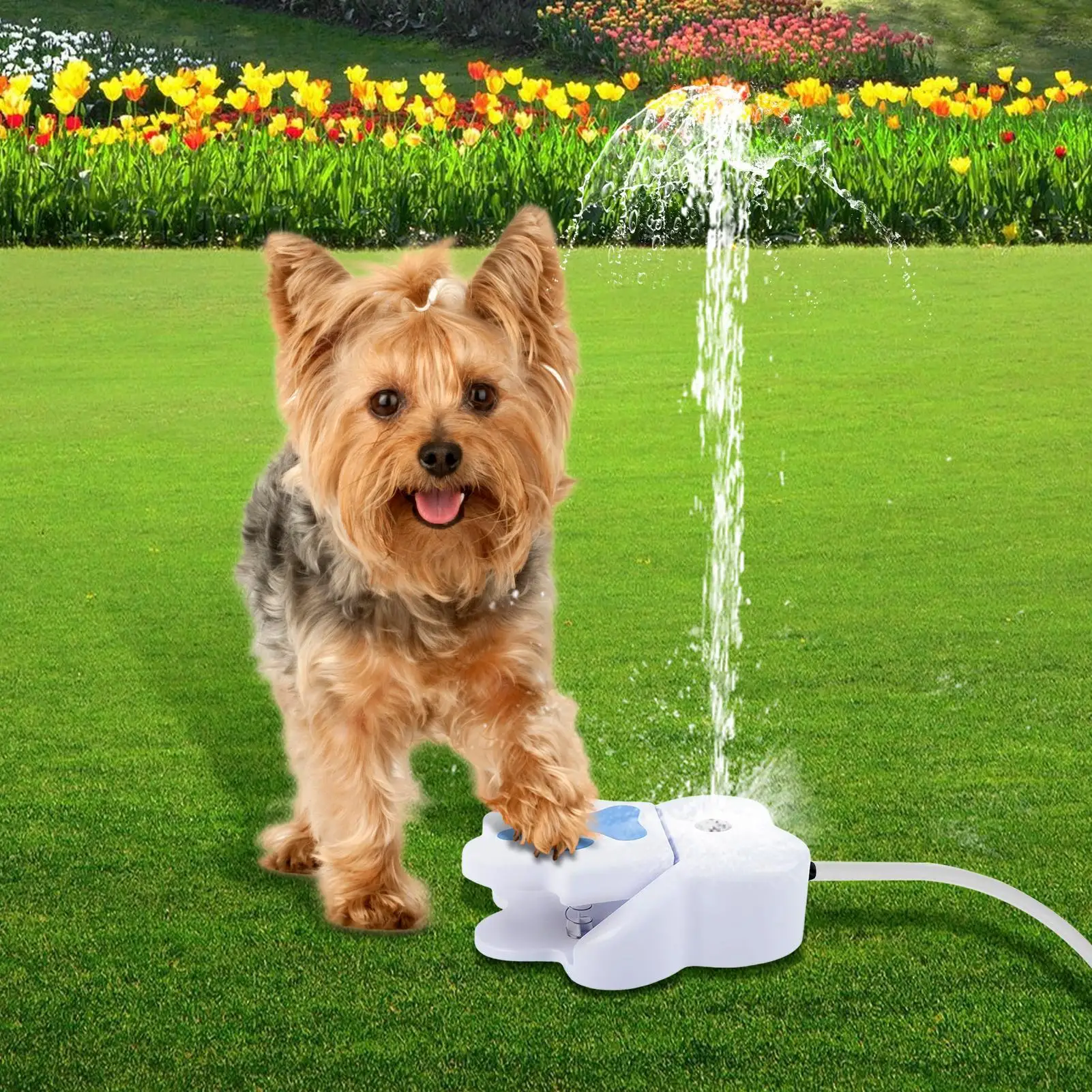 Bebedero para Mascotas con Sensor de Patada, Fuente de Agua para Perros, Dispensador de Agua Activado por Pata para Cachorros, para Jardín Exterior