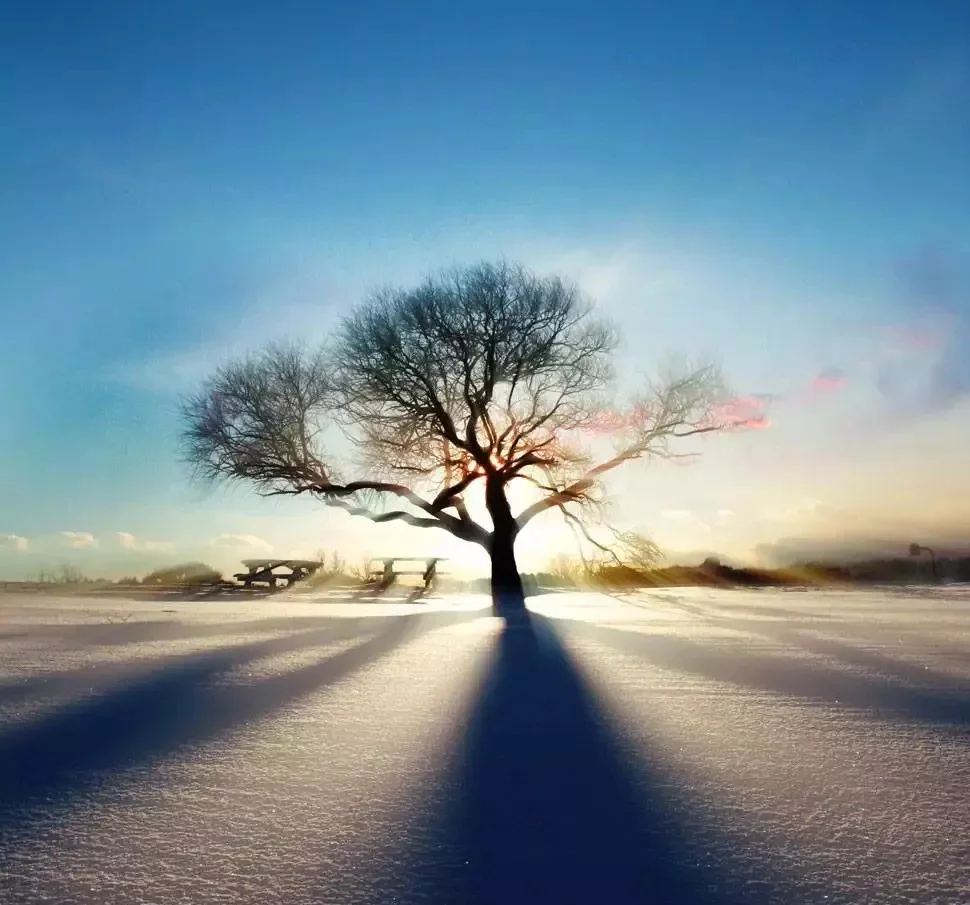 

Myoslim 6500W 15 tesla EMS Body Muscle Sculpt Machine Build Muscle Stimulate Machine Pelvic Pads Available Salon burning fat