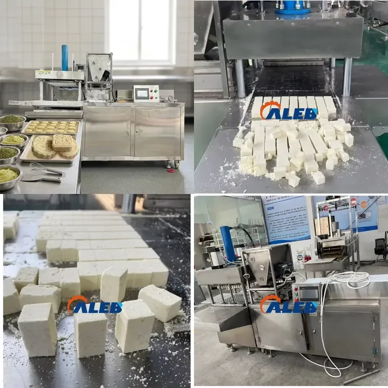 SFW Certificate Seasoning Bouillon Cube Mozzarella Cheese Maker Shaping Machine Sugar Bar Molding Machine