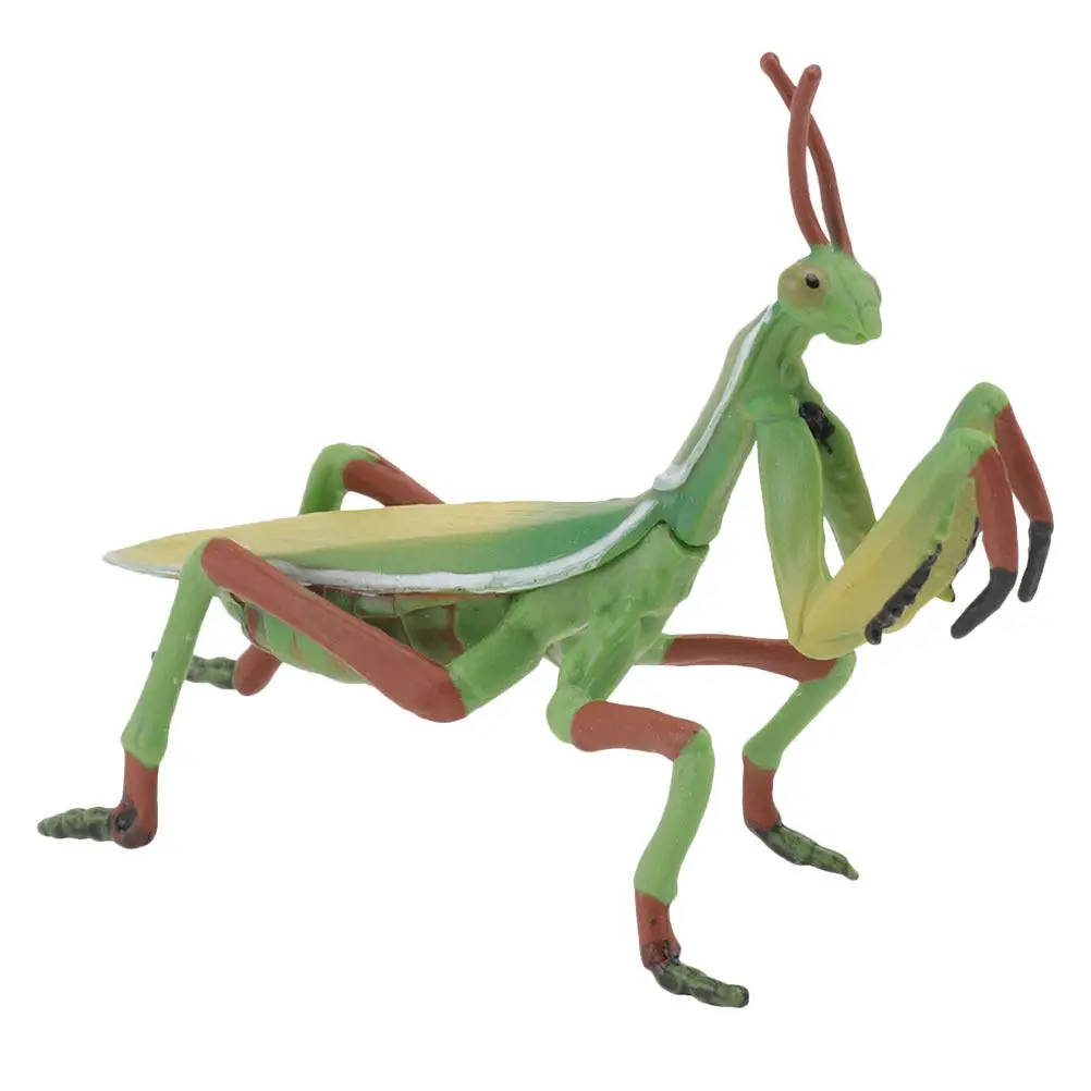 

1Pcs Plastic Mantis Realistic Simulation Static Insect Decoration Desktop Ornament Kids Plaything Mantis Figurine