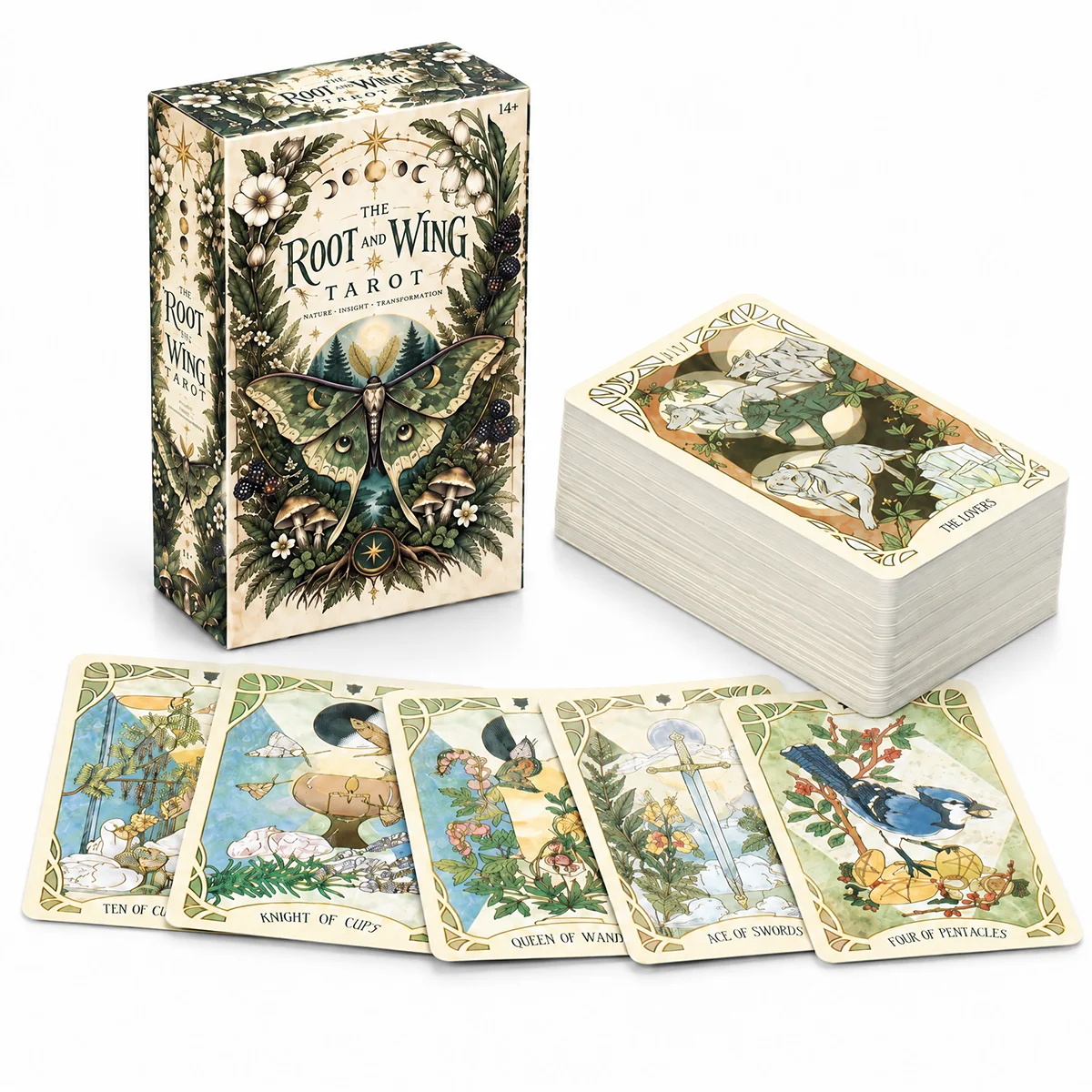 THE ROOT AND WING TAROT Nature Inspired Botanical Tarot Deck with Forest Wildlife Lunar Moth Moon Phases Vintage Art Nouveau Art