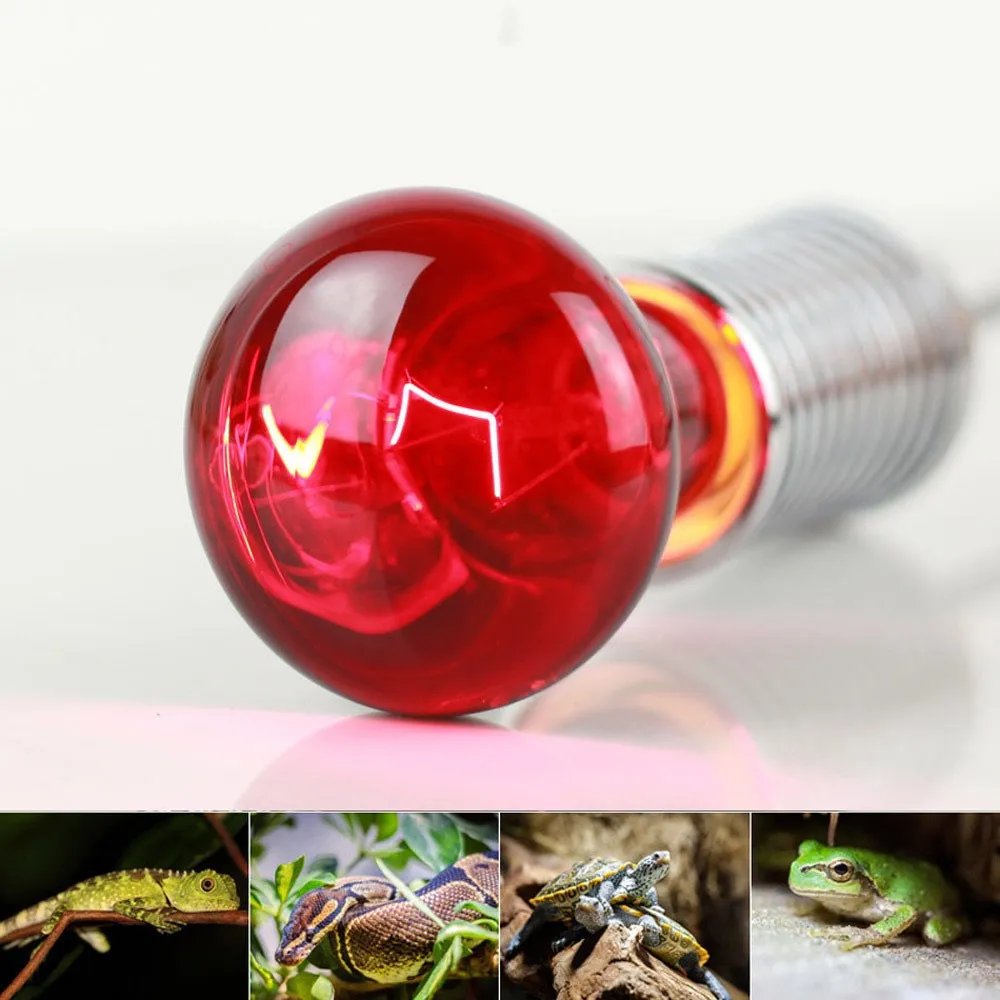 Reptile 40/60W Light Infrared Basking Spot Lamp Turtle Lizard Heating Lamp for Bearded Dragon Bulbs Reptiles Amphibian 220V