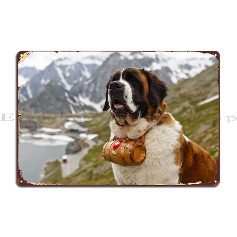 St Bernard Dog Metal Signs Designing Create Painting Retro Plaques Tin Sign Poster