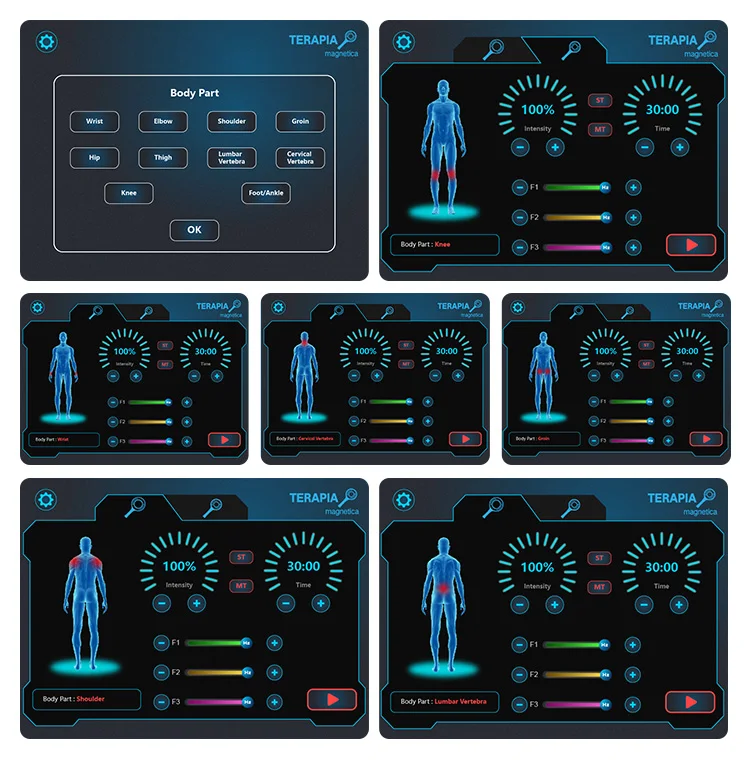 Macchina per terapia magnetica dell'attrezzatura per fisioterapia Magneto con macchina per terapia della luce rossa a Led a infrarossi