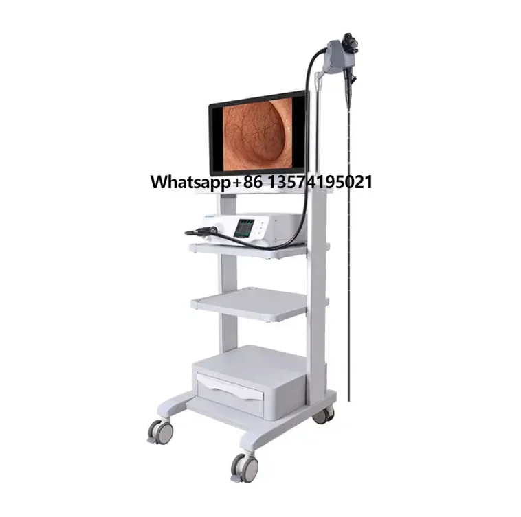 

Portable Lightweight Efficient Gastroscope and User-Friendly System Bronchoscope Veterinary Endoscope for Pet Hospitals