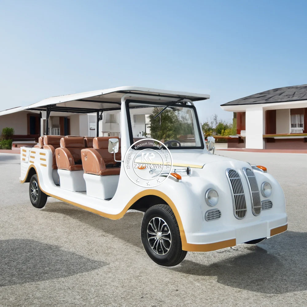 2024 Golf Cart High Quality Hot Selling Multi-color Golf Cart With Cartoon New Cars Special Transportation For Sale