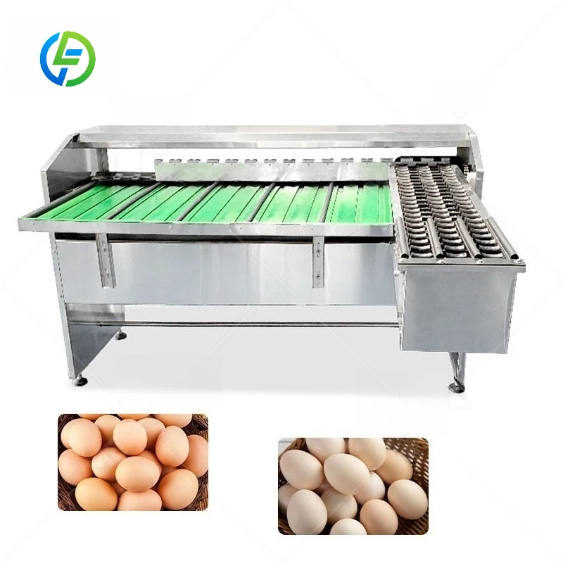 FL Customized Roller Type Egg Sorting Machine High Precision Egg Grading Machine Automatic Egg Size Classification Farm Tool
