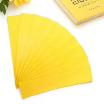 ชุดเครื่องหมายฝึกซ้อมกีฬา 10 ชิ้น สีสันสดใส ทนทาน สำหรับฟุตบอล บาสเกตบอล และกีฬาอื่นๆ อุปกรณ์ฝึกความคล่องตัว