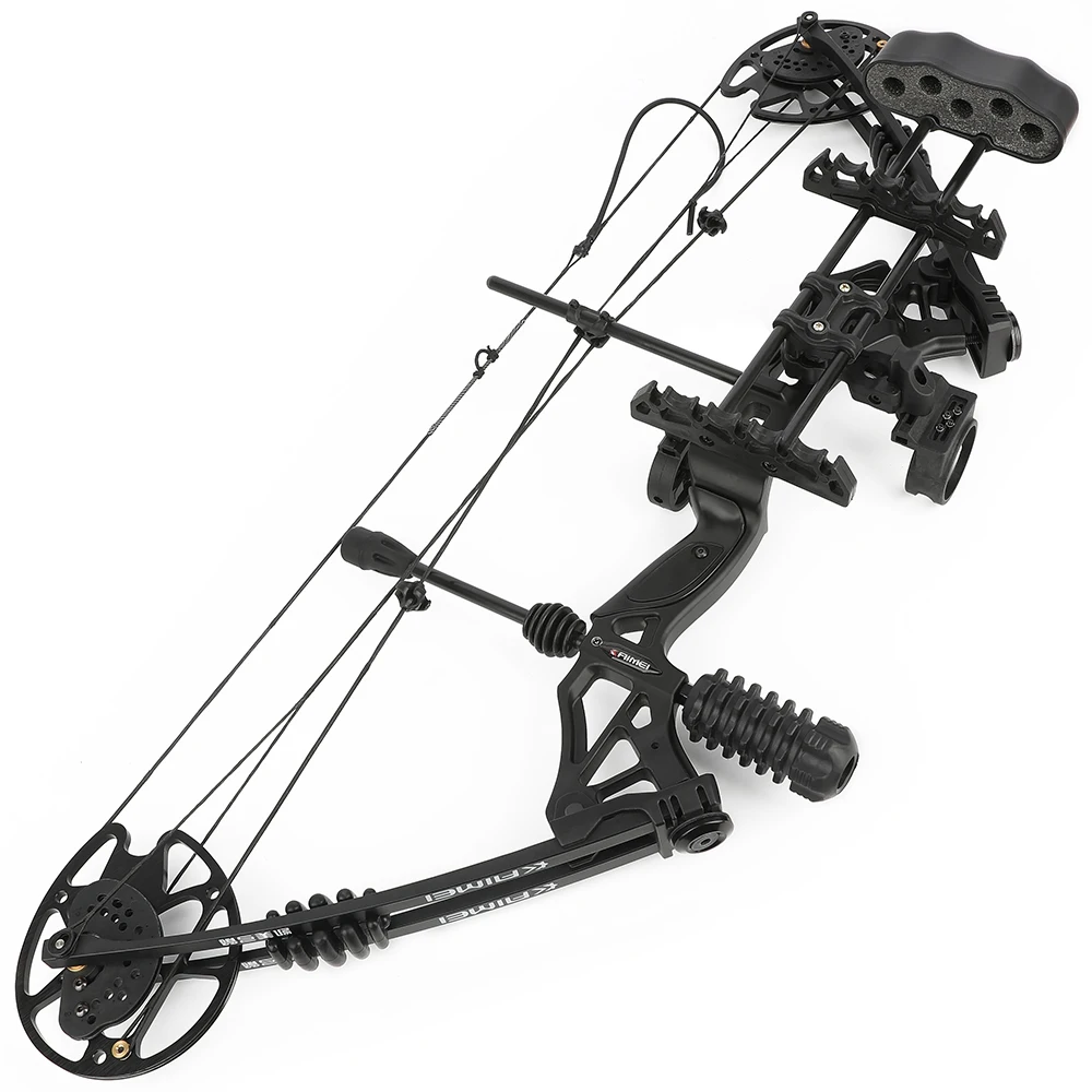 Compound Bow Set Archery 30-60lbs Adjustable Lightweight High-strength Alloys Riser 320fps Let-off 80% Hunting Bow Accessories