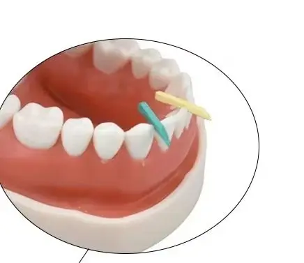 

600Pcs/box Dental Disposable Restoration Interdental Composite Contoured Wood Wooden Wedges Materials Dental Care