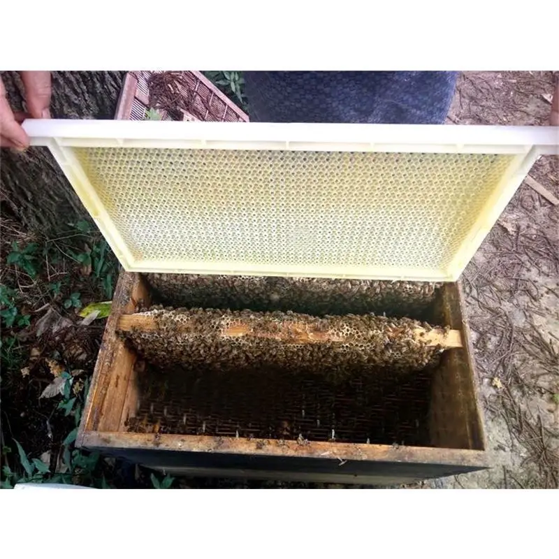 Beekeeping Tools New Type of Italian Bee-free Insect-free King Feeder Bee Set Full Set of Bee Breeding, Pulp-taking Device,