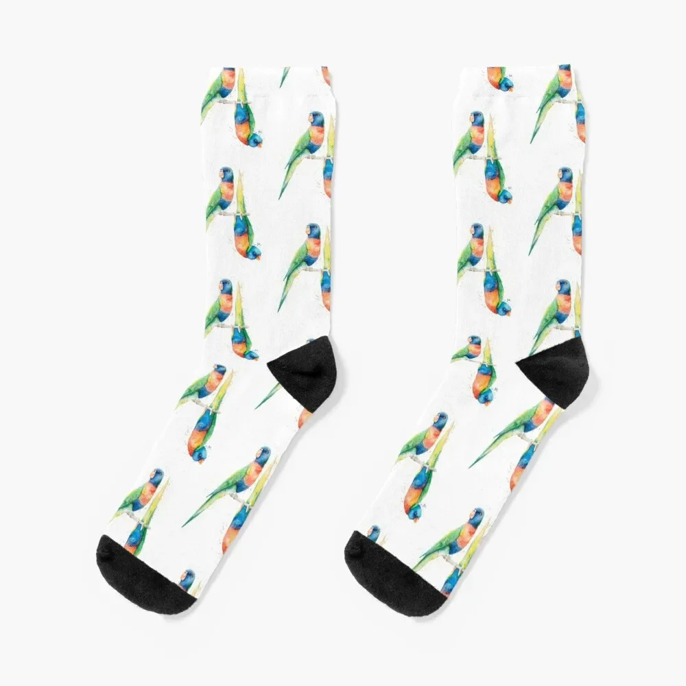 

Rainbow Lorikeets Socks designer Stockings man Boy Child Socks Women's