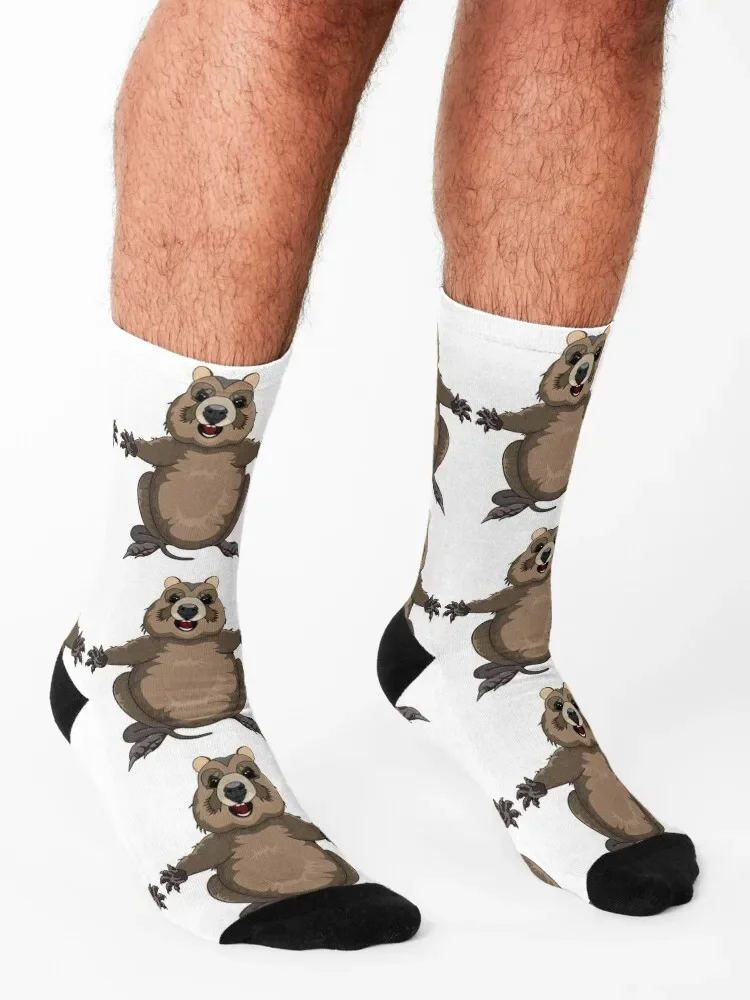 Happy Quokka! The Happiest Animal on Earth by Amanda M Lucas Socks colored luxe Sports Run Socks For Women Men's