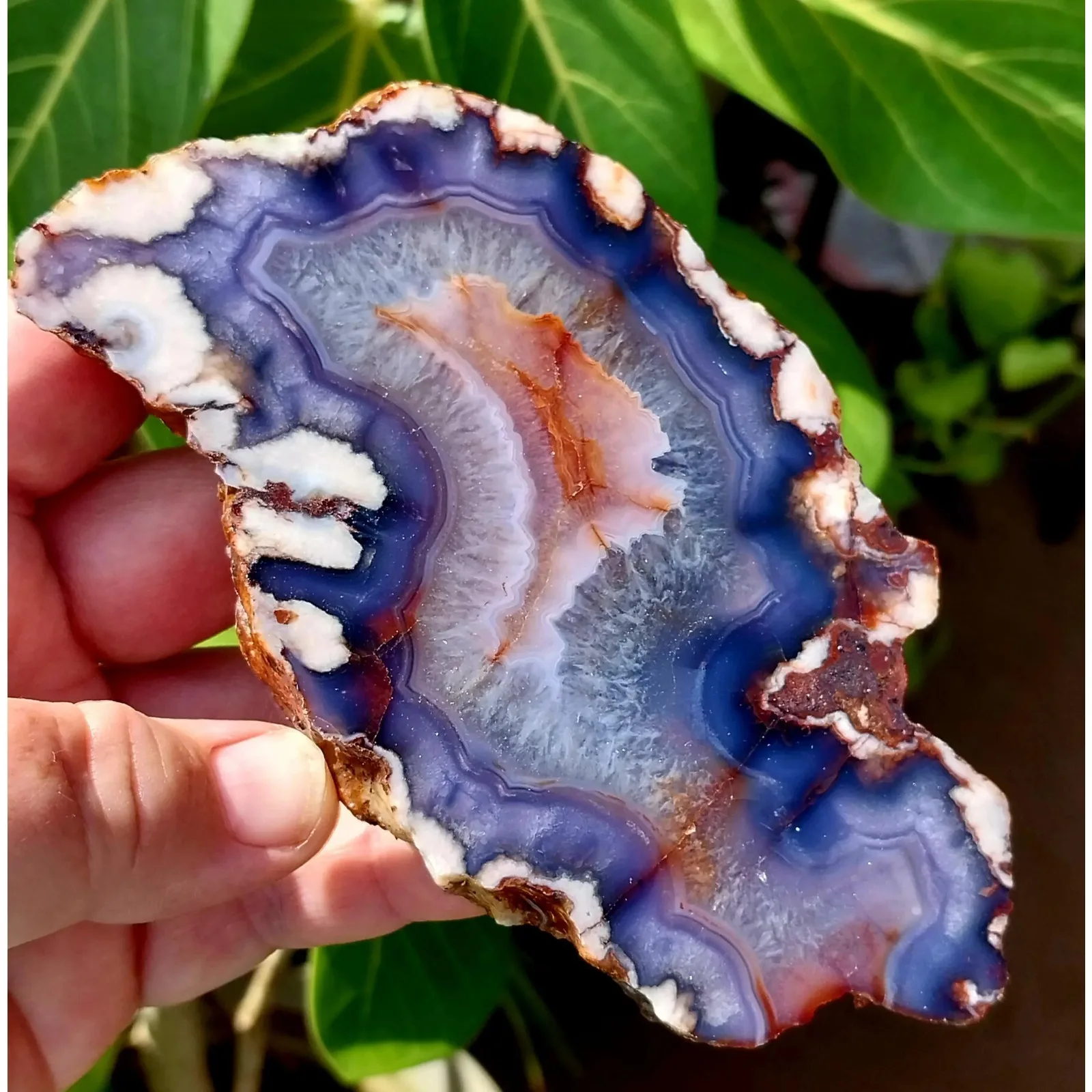 1pc Irregular Blue Cherry Sakura Slices - Home Decor Table Coasters - Stone Collection Selection - Perfect Gift for Festivals