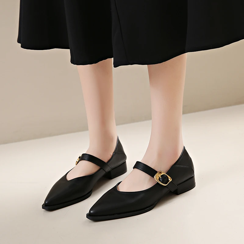 Elegant 2024 New Women's Shoe Single Shoe Thick Heel Pointed Toe British Style Mary Sandals French Loafers Women's Shoes