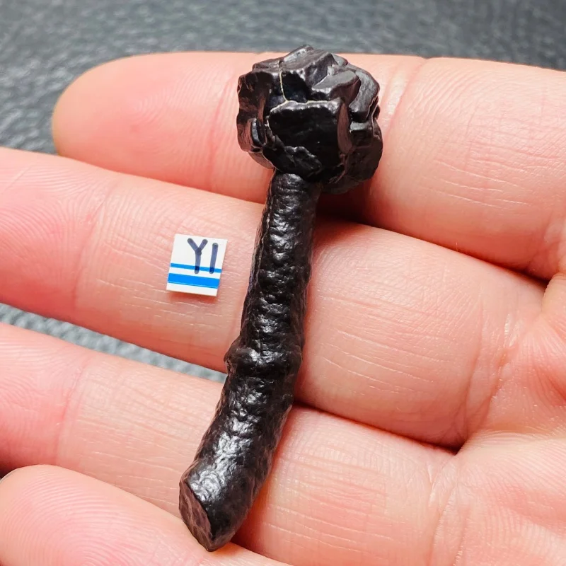 

A Rare Naturally Formed Beautiful Stone Rose Flower Mineral Specimen Collection For Home Decoration