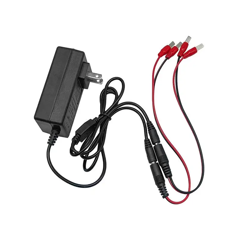 Dual Head Lithium Battery Charger 18V 21V 24V Overload Protection Universal Plug for Power Tools Home Daily Use