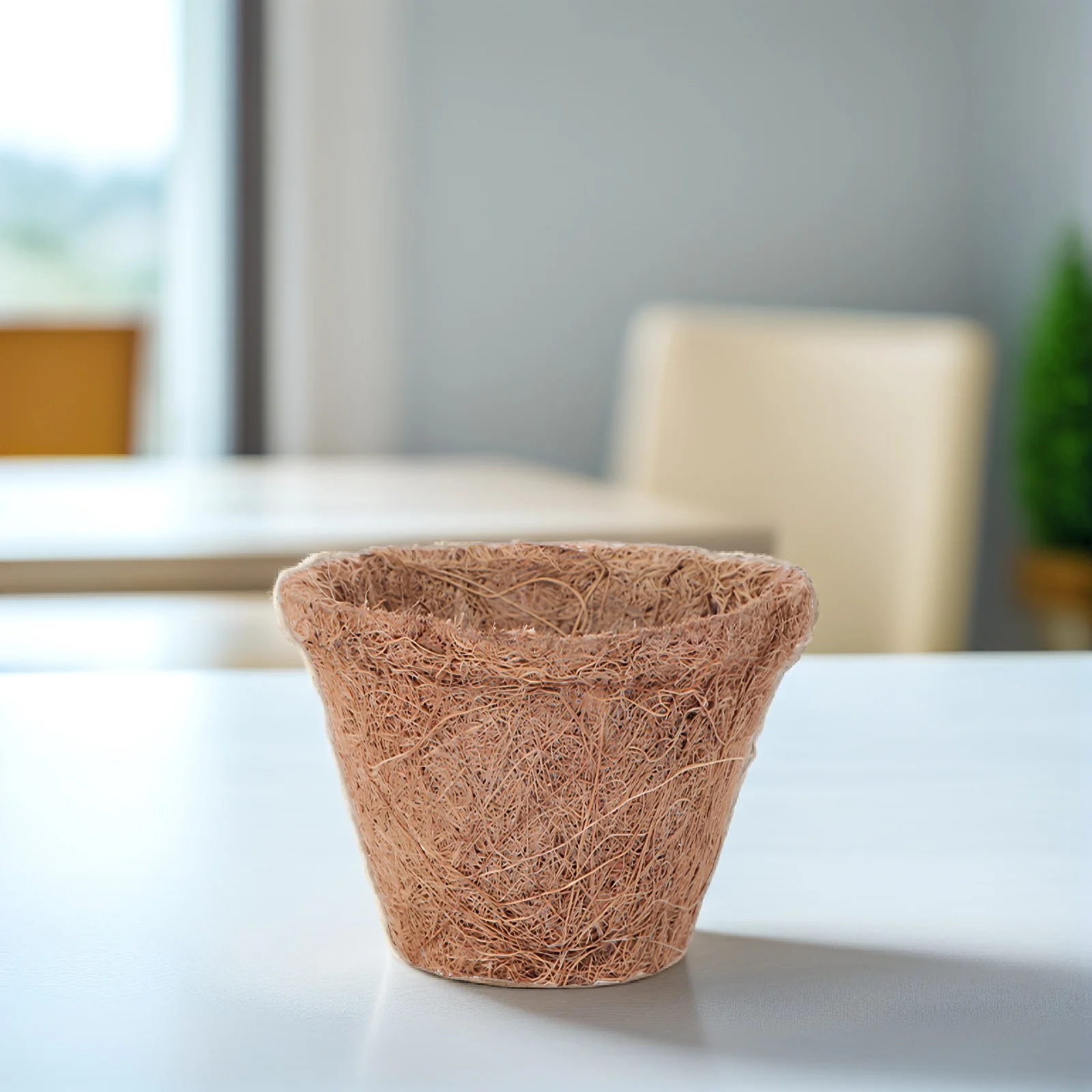 Pote de mudas de coco, recipiente de plantio, copos de flores de coco para jardim interno e externo, varanda, tapete de jardinagem, presente com 10 peças
