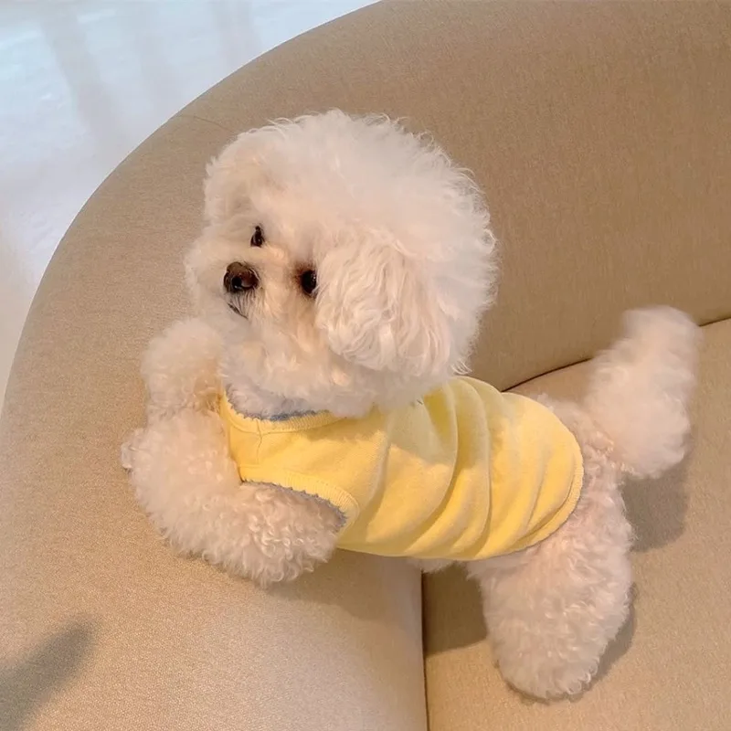 

Sweet Wind Pomeranian Vest Pet Summer Solid Color Clothes Small and Medium Dogs Soft Pullover Teddy Two Legs Clothes