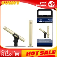 Micrófono de Condensador C02 de Diafragma Pequeño con Suspensión Antichoque y Clip, Tipo Lápiz, para Piano e Instrumentos, Modelo C02