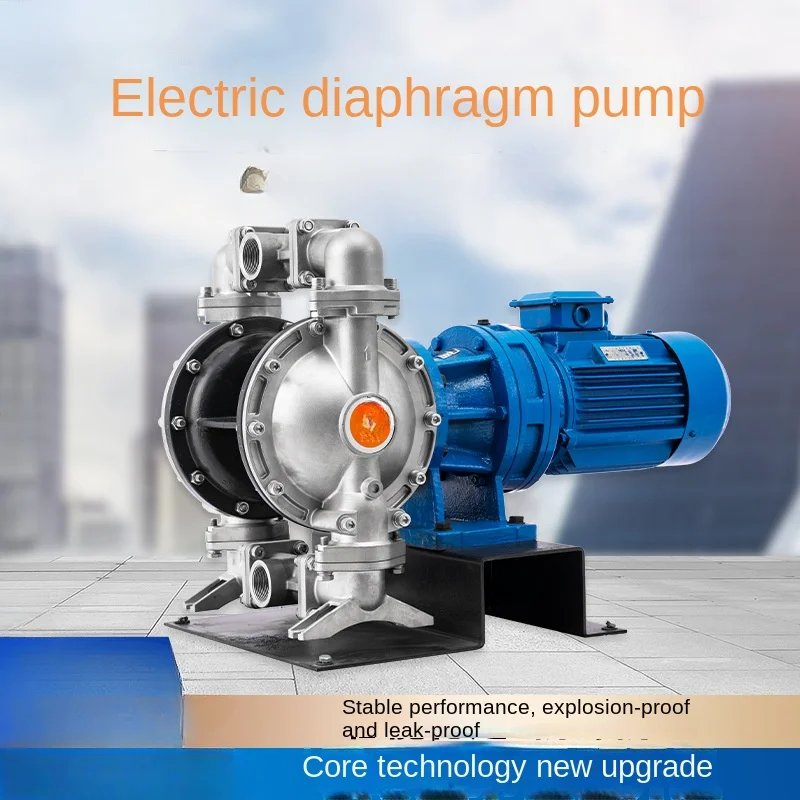 

Electric Diaphragm Pump BFDS 304 Stainless Steel Material Food Grade Diaphragm Pump Water Pump