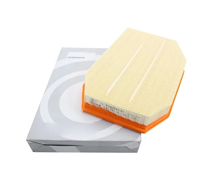

1 piece Air Filter for BMW F10 F11 F01 F02 523i 528i 530i 13717590597