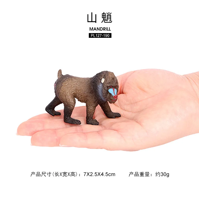 نموذج محاكاة الحياة البرية للأطفال، لعبة حيوانات ماندريل شبح بابون، لعبة تنوير القرد، هدية معرفية