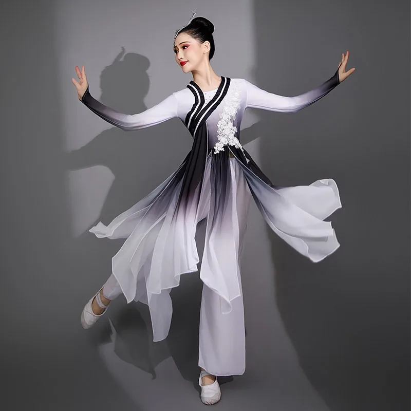 Ink and wash classical dance costumes female elegant Chinese style fairy solo dance art test fan dance