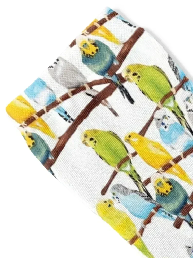 Budgie pattern watercolour Socks anti slip football sport Stockings man Men's Socks For Girls Men's