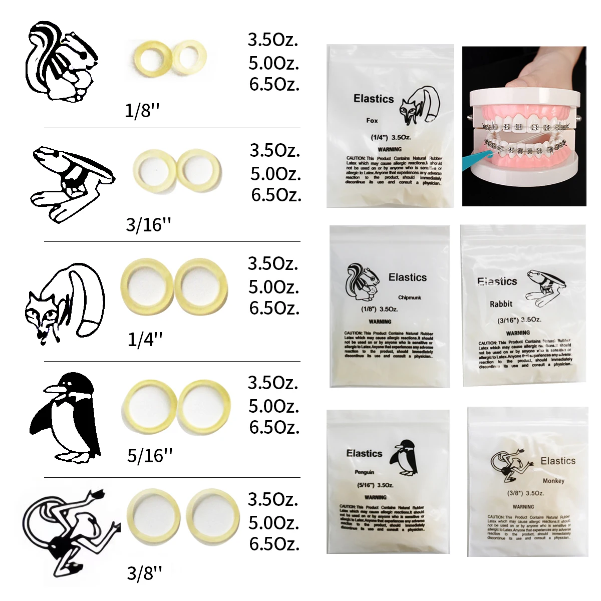 DZK 10packs Orthodontic Elastic Bands for Braces Dental Rubber bands