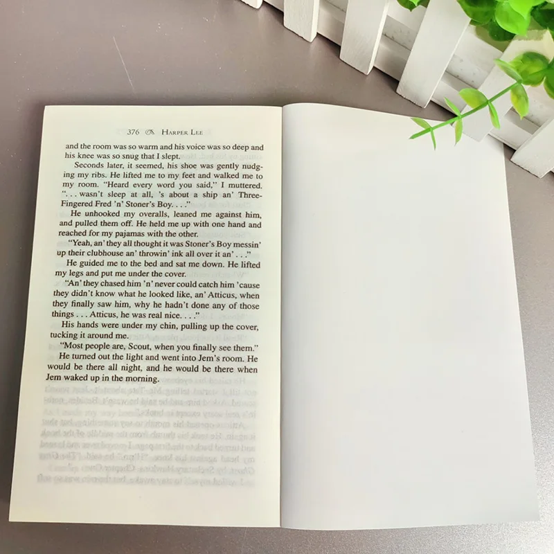 Roman anglais pour tuer un mockingbird livres anglais Libros Livros