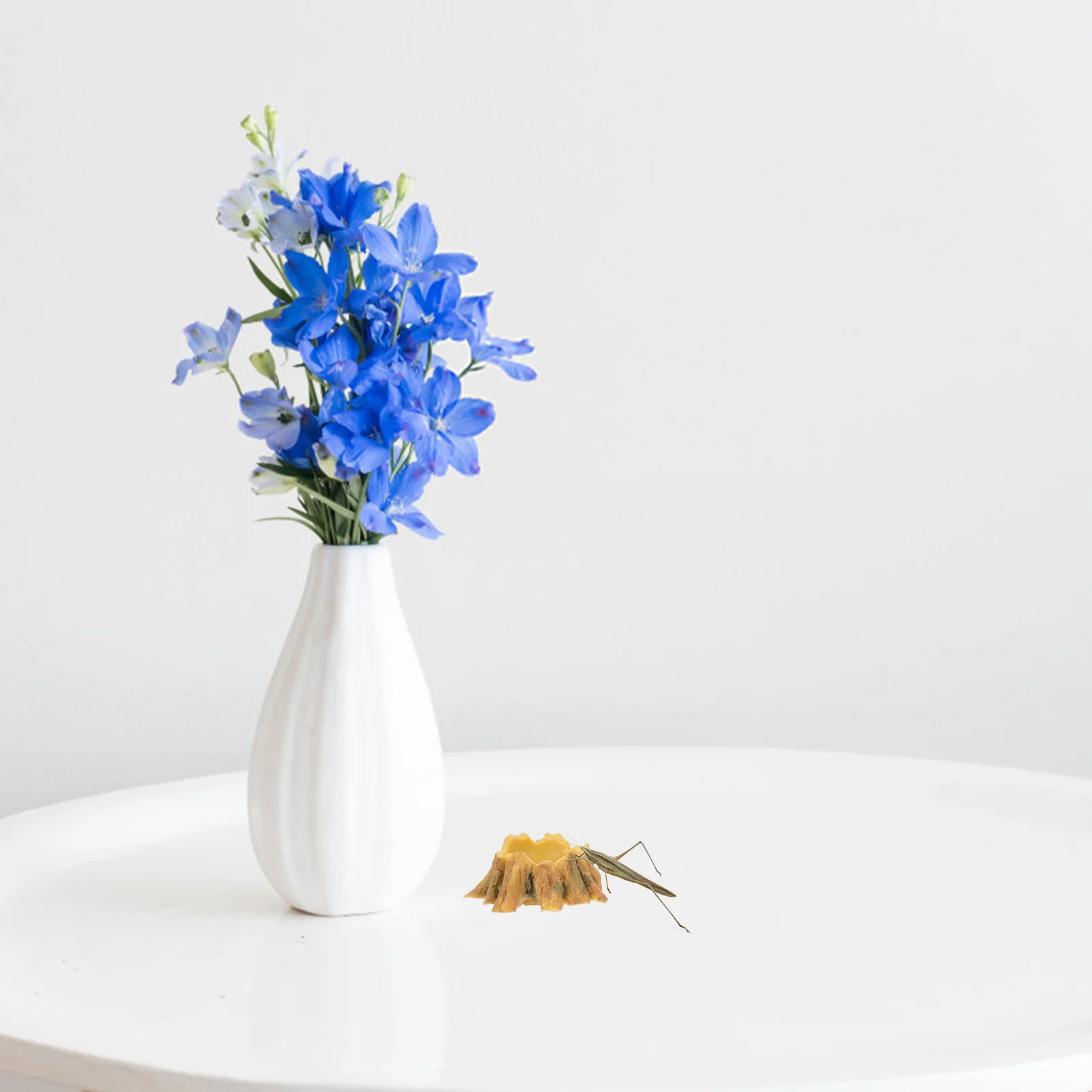 

4Pcs Small Resin Water Bowls Multi-Function Mini Feeding Basins Reptile Water Containers for Terrarium Terrarium Bowl