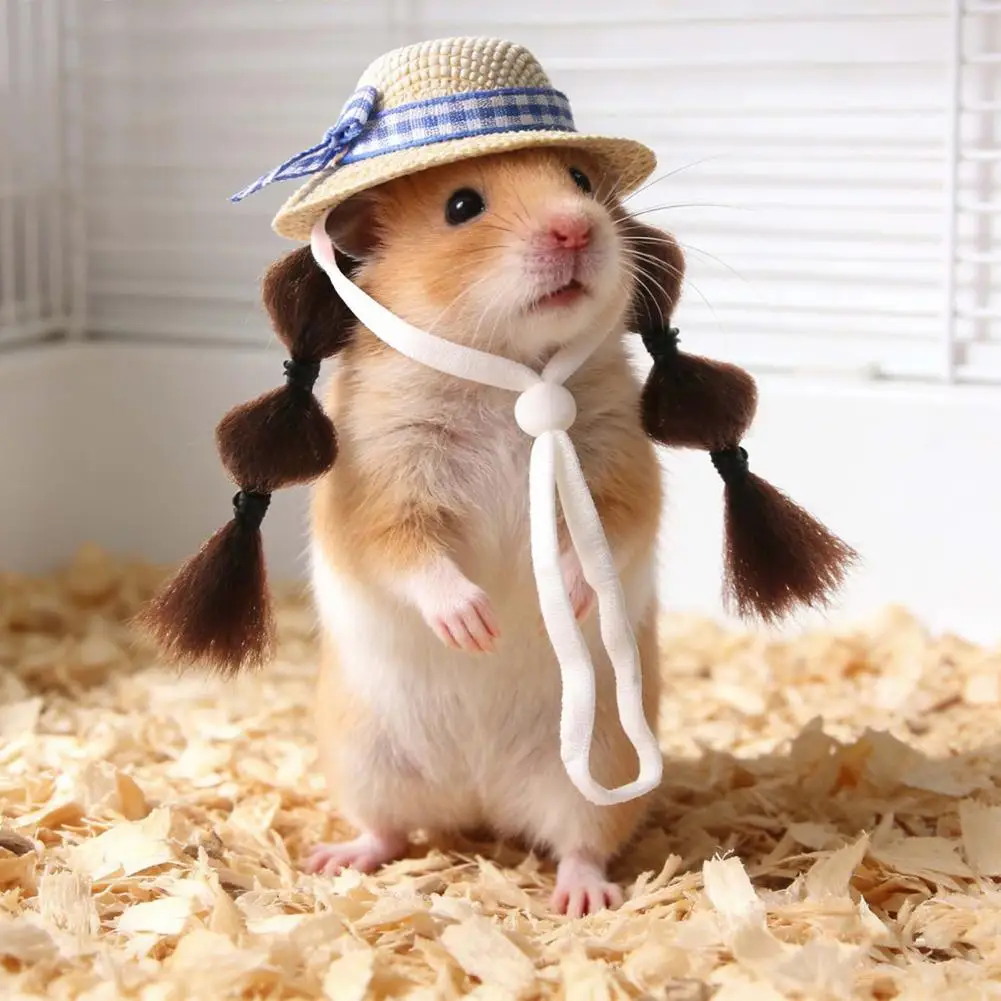 Small Hat Cute Pet Hat Hamster Sun Hat with Double Braids Elastic Strap Adjustable Small Pet for Budgies Roosters Guinea Pigs