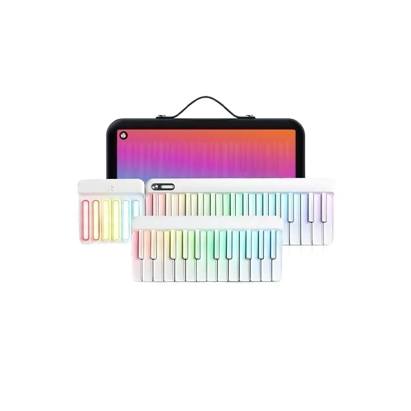 Automatic piano playing and singing electronic organ adult magnetic portable keyboard